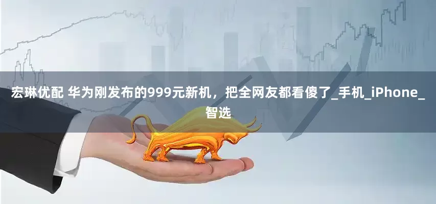 宏琳优配 华为刚发布的999元新机，把全网友都看傻了_手机_iPhone_智选