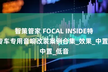 智策管家 FOCAL INSIDE特斯拉专车专用音响改装案例合集_效果_中置_低音