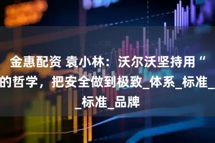 金惠配资 袁小林：沃尔沃坚持用“圆”的哲学，把安全做到极致_体系_标准_品牌